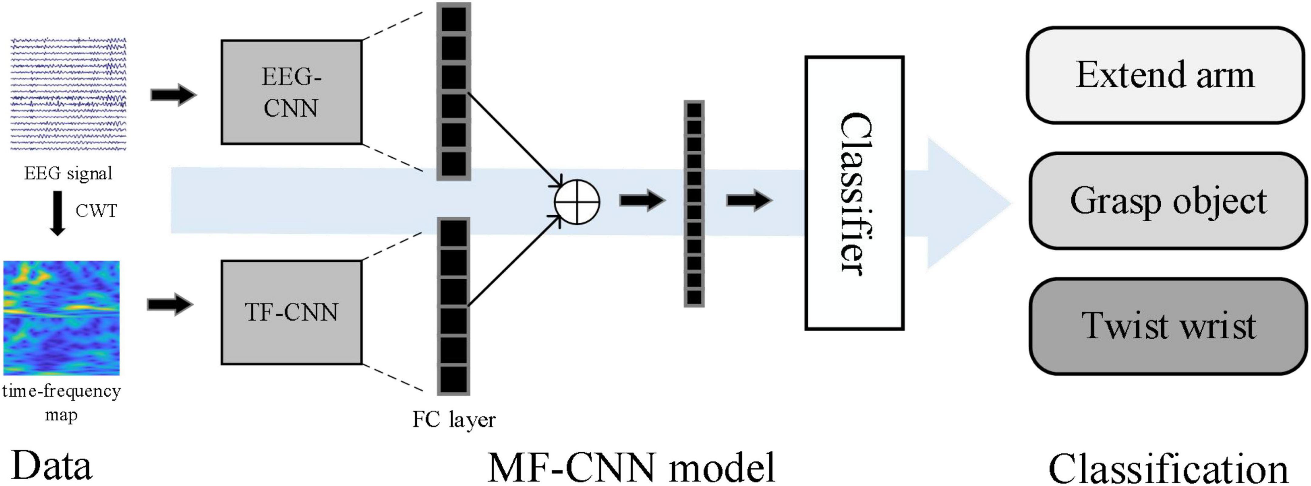 Recognition of single upper limb motor imagery tasks from EEG using multi-branch fusion convolutional neural network